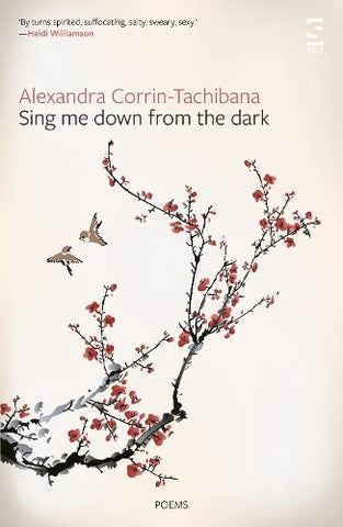 Sing Me Down from the Dark (Salt Modern Poets)