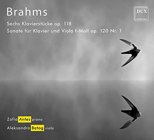 A black-and-white CD cover featuring two swallows in flight against a cloudy background.