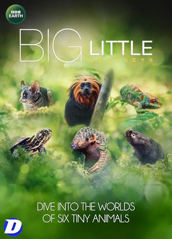 Big Little Journeys [DVD]