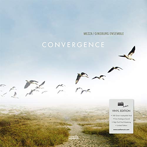 "Album cover with birds flying over a sandy path, titled 'Convergence'."