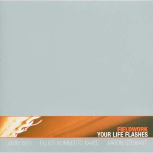 "CD cover with gold banner, 'Fieldwork - Your Life Flashes' text, and artist names."