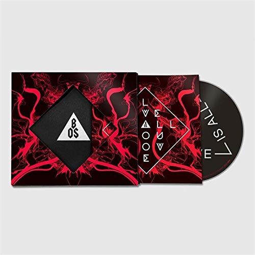 "CD case with red abstract design and black CD titled 'LOVE IS ALL YOU LOVE'."