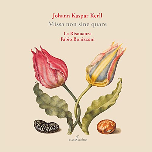 CD cover featuring tulip illustration with text "Johann Kaspar Kerll: Missa non sine quare".