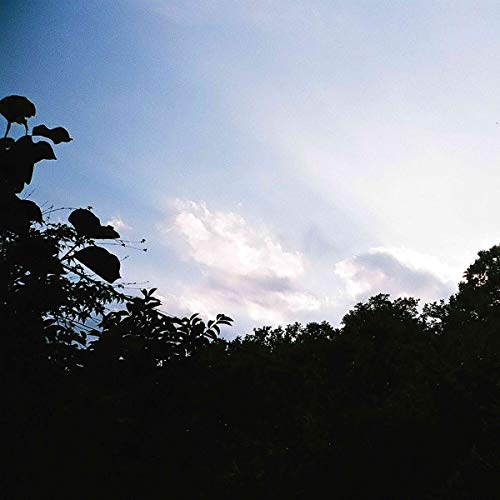 The image depicts a serene landscape with a blue sky and silhouetted trees. The sky is a gradient of blue, transitioning to white towards the right side, with a few clouds scattered throughout. In the foreground, the dark silhouettes of trees are visible, adding depth to the scene. The overall atmosphere is one of tranquility and peacefulness, evoking a sense of calmness. The image appears to be a photograph taken during the daytime, capturing the beauty of nature. Alt