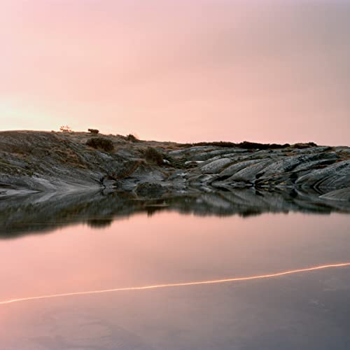 Various - (An Overview On) An Overview On Phenomenal Nature [CD]