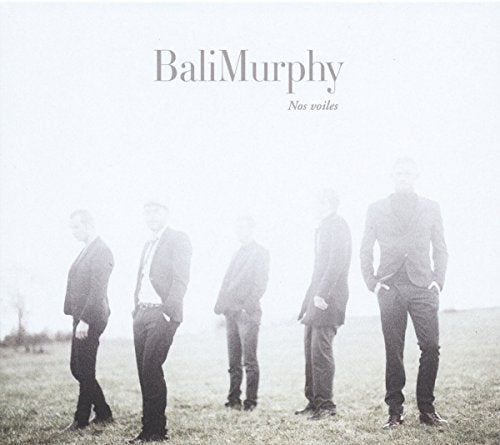 "Album cover with five men in suits standing in a misty field."