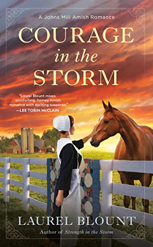 Courage in the Storm: 3 (A Johns Mill Amish Romance)