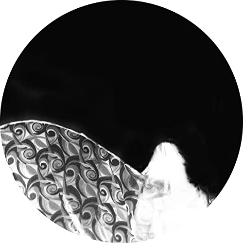 Ashtray Navigations - Before You Play This [VINYL]