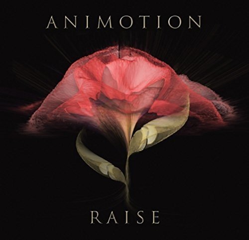 "Album cover featuring a red rose on a black background with 'Animotion' and 'Raise' text."