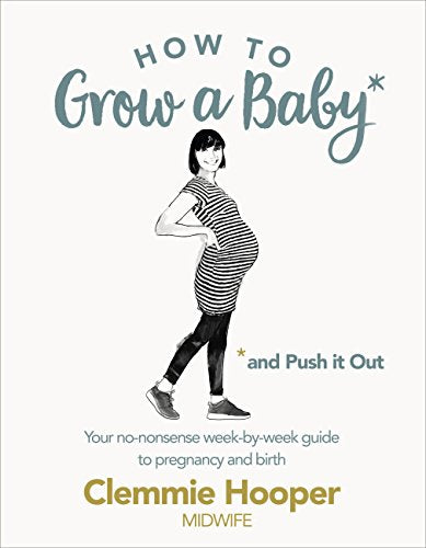 "Book cover featuring an illustration of a pregnant woman and title 'How to Grow a Baby'."