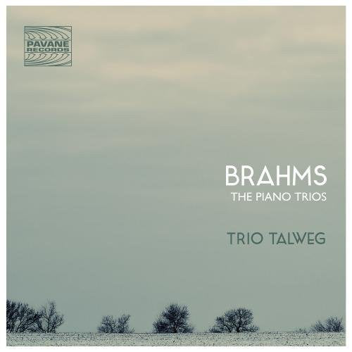 A CD cover with a muted green landscape and "Brahms, The Piano Trios" text.