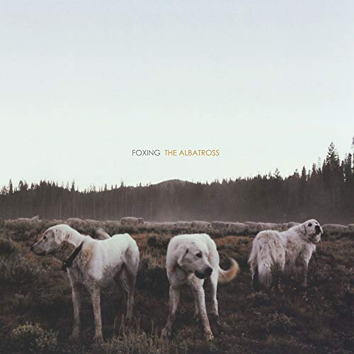 Foxing - The Albatross [VINYL]
