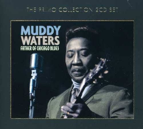 "CD cover featuring Muddy Waters holding a guitar, with a microphone beside him."