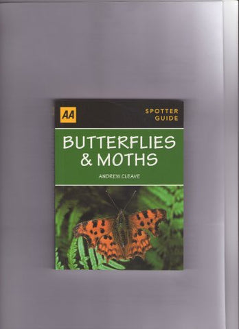 Butterflies & Moths