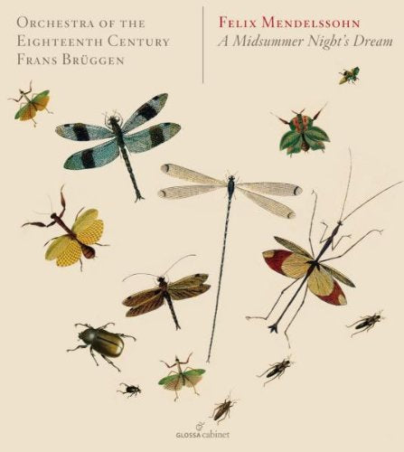 "CD cover with illustrations of insects on a beige background."