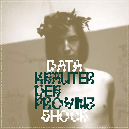 "Album cover with a person wearing flowers in their hair, sepia-toned background."