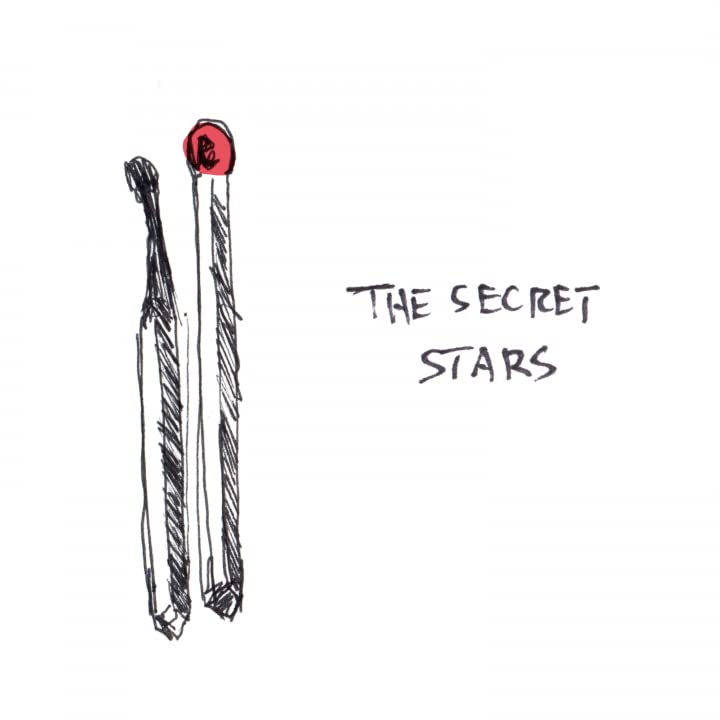 Various - The Secret Stars [VINYL]