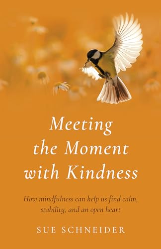 Meeting the Moment with Kindness: How mindfulness can help us find calm, stability, and an open heart