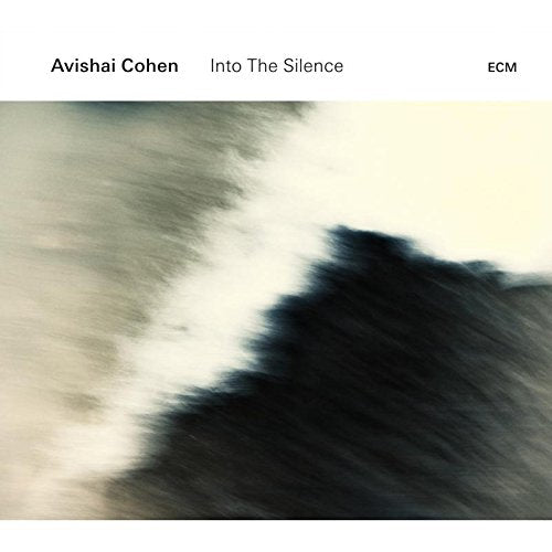 "Avishai Cohen's 'Into The Silence' vinyl album cover featuring a blurred, abstract black and white image."