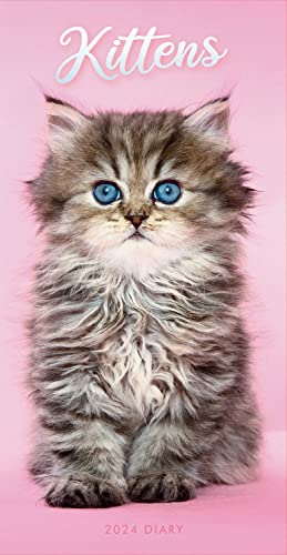 Kittens Slim Diary 2024 Calendar