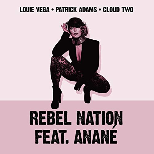 Various - REBEL NATION (DANNY KRIVIT / SOUL CLAP / CARL CRAIG / FELIX DA HOUSECAT X CHRIS TRUCHER REMIXES) [VINYL]