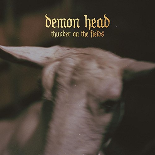 Album cover with a blurry goat's head and yellow text "demon head thunder on the fields".