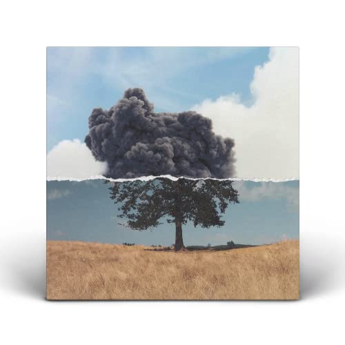 Wilkinson - Cognition [VINYL]