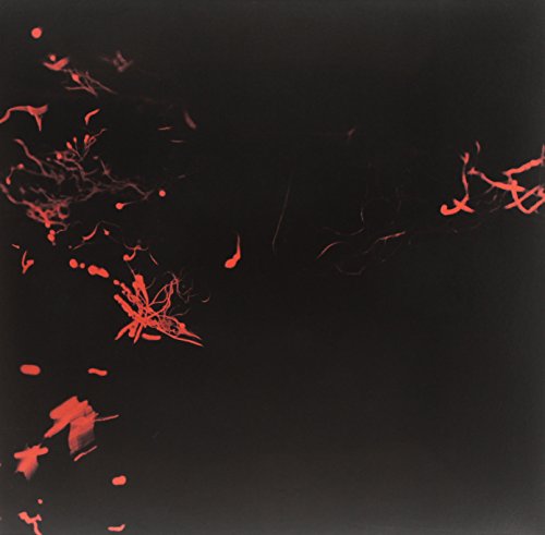 Various - Moss Garden [VINYL]