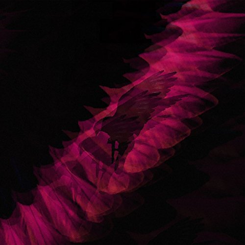 A vinyl record with a pink, abstract, ruffled design on a black background.