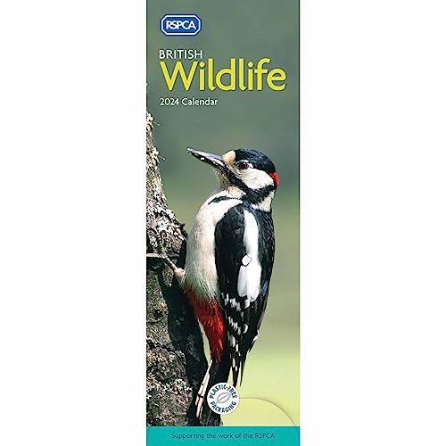 RSPCA British Wildlife Slim Calendar 2024