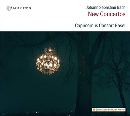 A CD cover featuring a chandelier hanging from a tree branch at night.