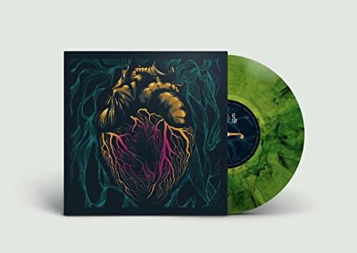 Shadow Lizzards, The - Someone's Heartache [VINYL]