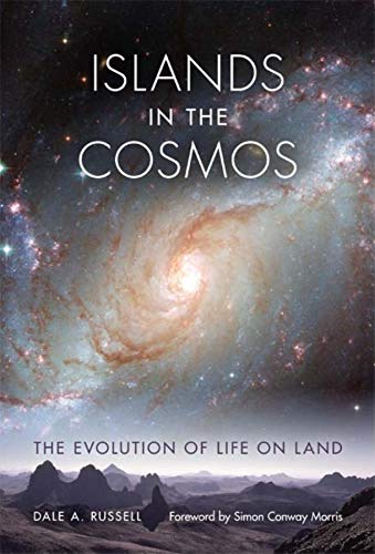 "Book cover featuring a galaxy image with mountains and text."