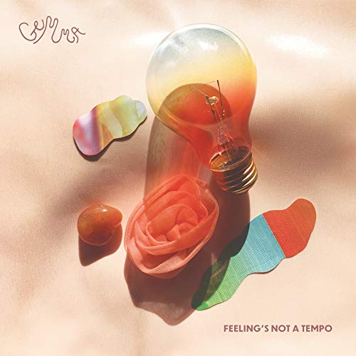 "Album cover featuring a lightbulb, rose, and abstract shapes on a peach background."