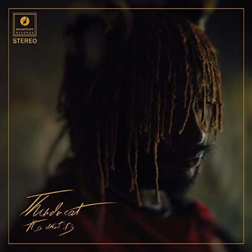 Thundercat - It Is What It Is [VINYL]