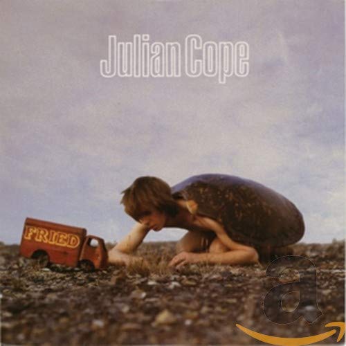 Cope Julian - Fried [CD]