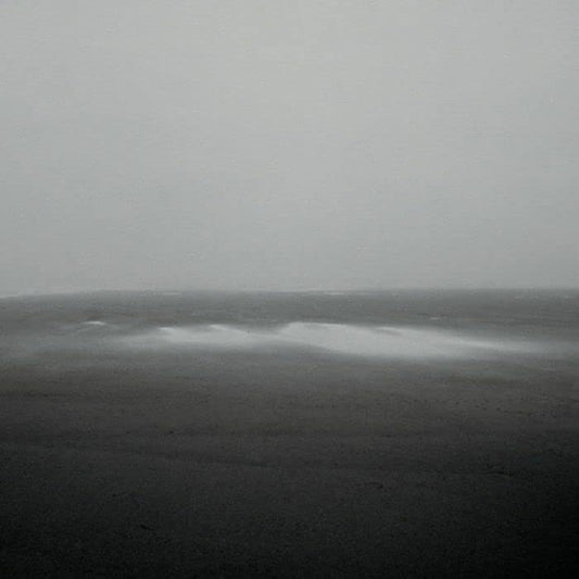 Various - Drowning Guides [CD]