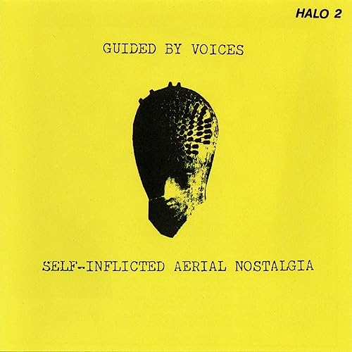 Various - Self-Inflicted Aerial Nostalgia [VINYL]