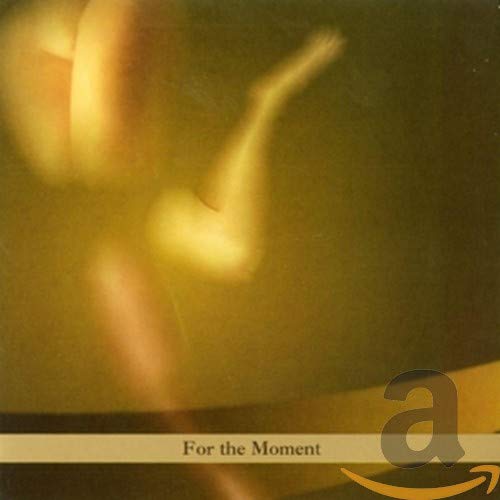 Paul Brody - For The Moment [CD]