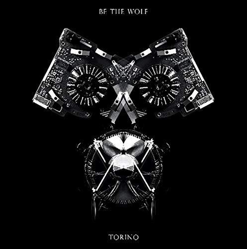 Nate Schierman - Risk [CD]