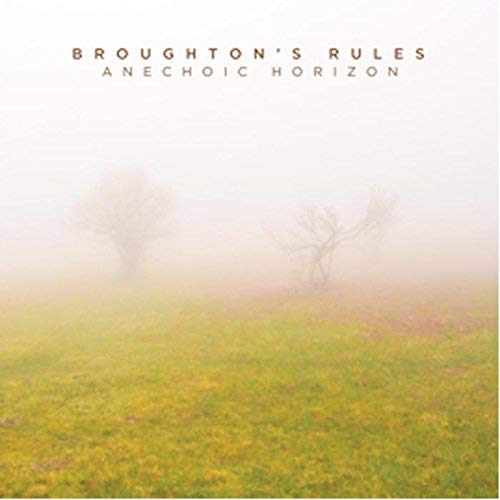 A foggy landscape with a lone tree and text "Broughton's Rules - Anechoic Horizon".