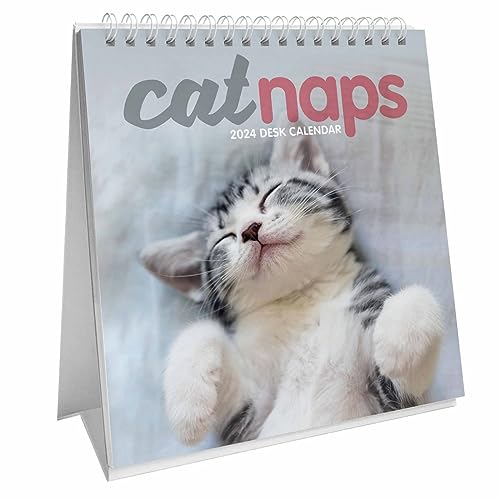 Cat Naps Easel Calendar 2024
