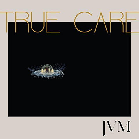 James Vincent Mcmorrow - True Care  [VINYL]