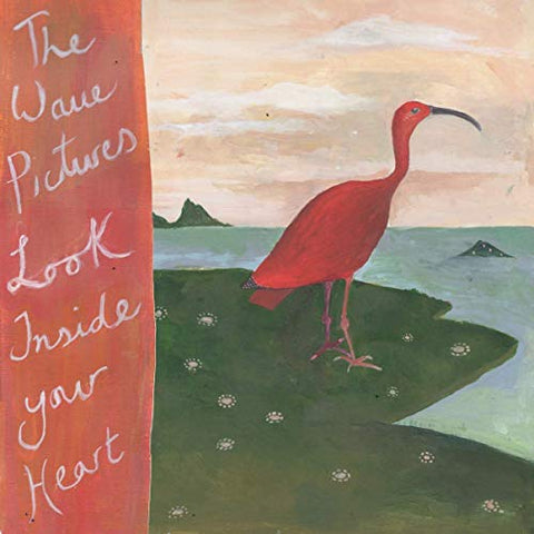 The Wave Pictures - LOOK INSIDE YOUR HEART  [VINYL]