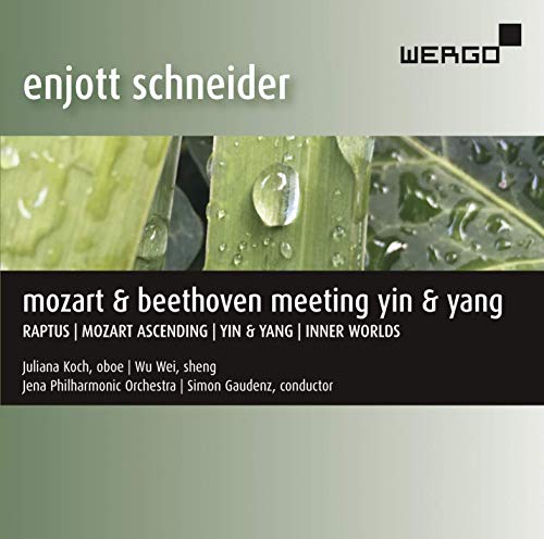 Koch/wei/jena Po/gaudenz - Enjott Schneider: Mozart & Beethoven Meeting Yin & Yang [CD]