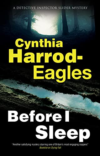 Before I Sleep: 24 (A Detective Inspector Slider Mystery)