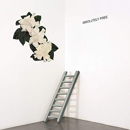"Vinyl record album cover with ladder and white flowers against a white wall."