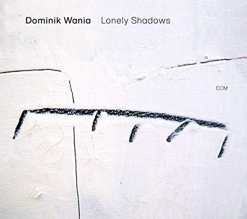 "Album cover with white textured background, black sketch, and 'Dominik Wania Lonely Shadows' text."