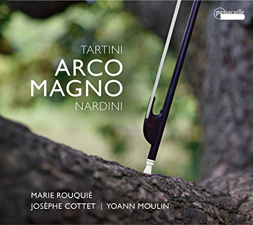 "CD cover featuring a black violin bow on a tree branch with blurred greenery background."