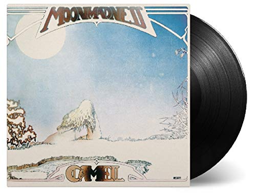 "Album cover with snowy mountain landscape, full moon, and 'Camel' and 'Moonmadness' text."